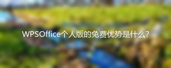 WPSOffice个人版的免费优势是什么？