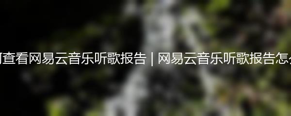 如何查看网易云音乐听歌报告 | 网易云音乐听歌报告怎么看