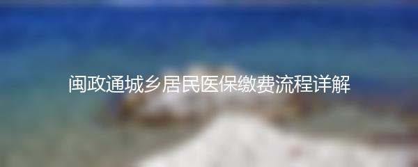 闽政通城乡居民医保缴费流程详解