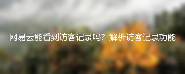 网易云能看到访客记录吗？解析访客记录功能