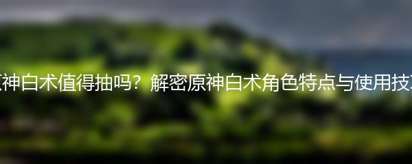 原神白术值得抽吗？解密原神白术角色特点与使用技巧