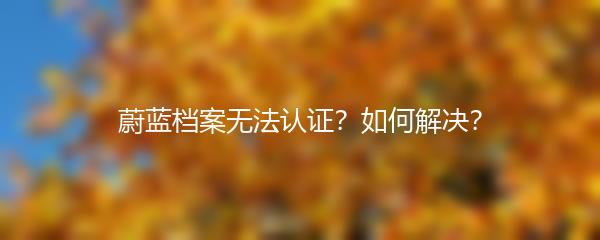 蔚蓝档案无法认证？如何解决？