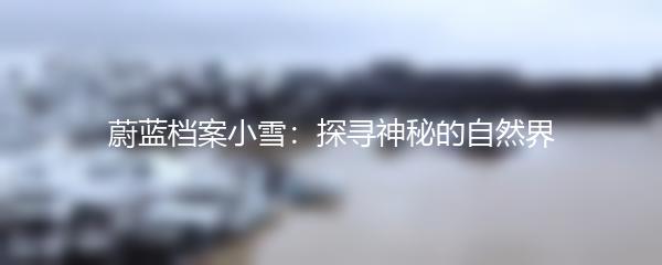 蔚蓝档案小雪：探寻神秘的自然界