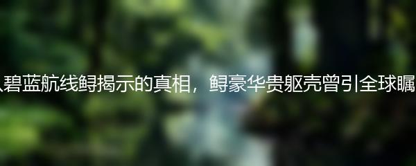 从碧蓝航线鲟揭示的真相，鲟豪华贵躯壳曾引全球瞩目