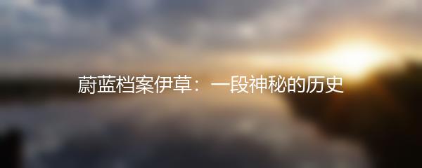 蔚蓝档案伊草：一段神秘的历史