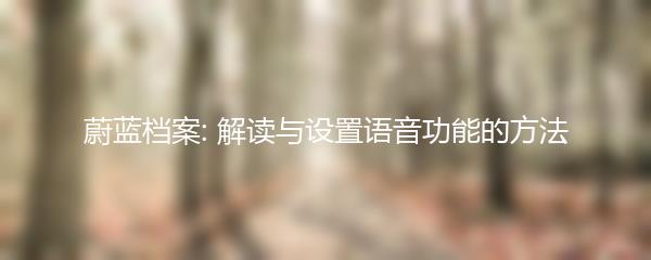 蔚蓝档案: 解读与设置语音功能的方法