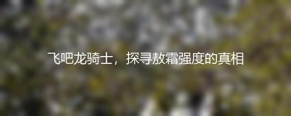 飞吧龙骑士，探寻敖霜强度的真相