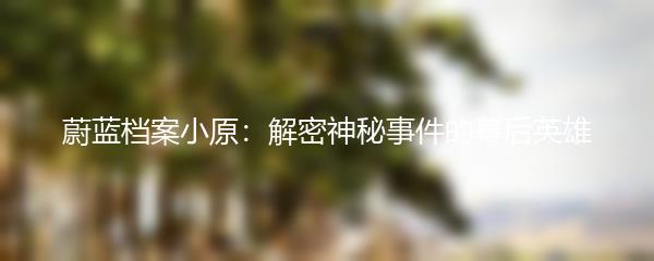 蔚蓝档案小原：解密神秘事件的幕后英雄