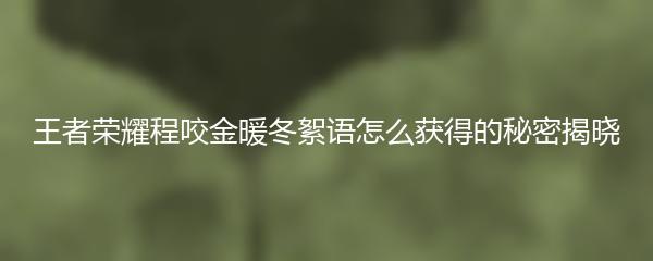 王者荣耀程咬金暖冬絮语怎么获得的秘密揭晓