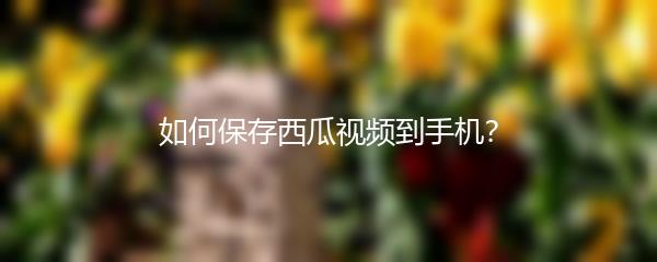 如何保存西瓜视频到手机？