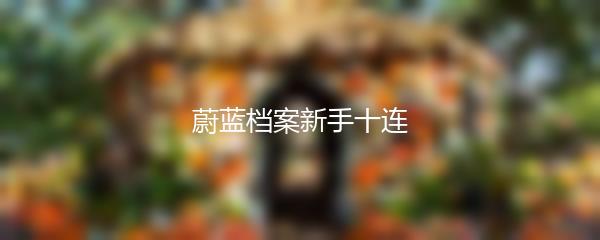 蔚蓝档案新手十连