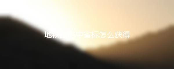 地铁跑酷中省标怎么获得