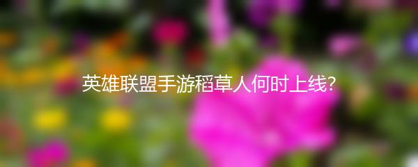 英雄联盟手游稻草人何时上线？