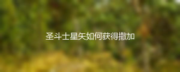 圣斗士星矢如何获得撒加