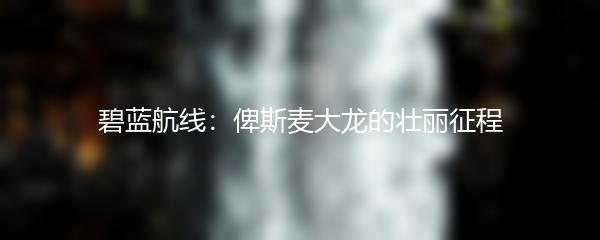 碧蓝航线：俾斯麦大龙的壮丽征程