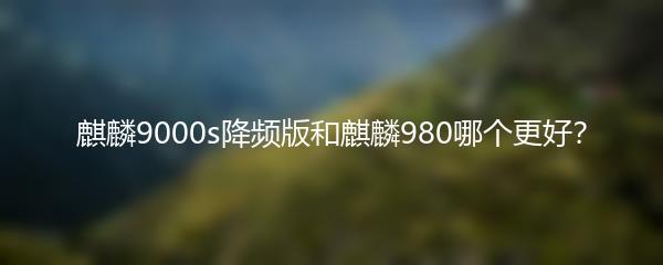 麒麟9000s降频版和麒麟980哪个更好？