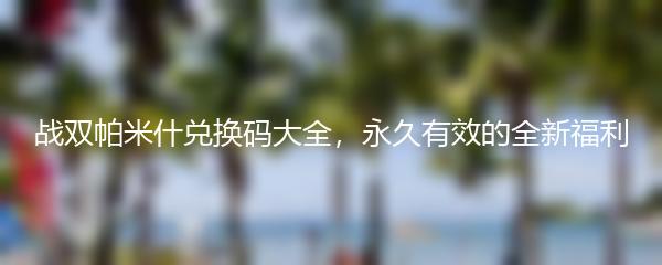 战双帕米什兑换码大全，永久有效的全新福利