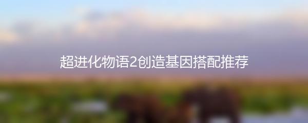 超进化物语2创造基因搭配推荐