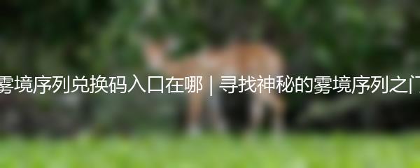 雾境序列兑换码入口在哪 | 寻找神秘的雾境序列之门