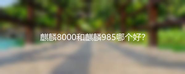 麒麟8000和麒麟985哪个好？