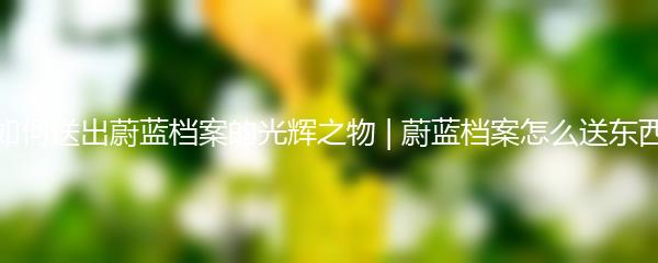 如何送出蔚蓝档案的光辉之物 | 蔚蓝档案怎么送东西