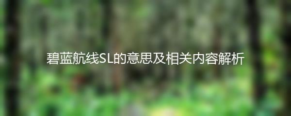 碧蓝航线SL的意思及相关内容解析