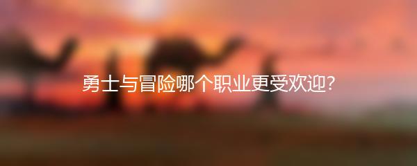 勇士与冒险哪个职业更受欢迎？