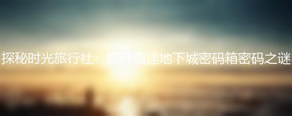 探秘时光旅行社：揭开沼洼地下城密码箱密码之谜