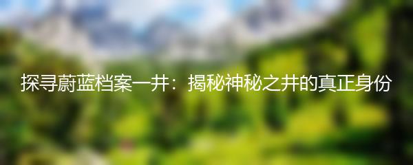 探寻蔚蓝档案一井：揭秘神秘之井的真正身份