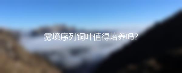 雾境序列铜叶值得培养吗？