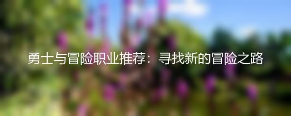 勇士与冒险职业推荐：寻找新的冒险之路