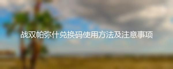 战双帕弥什兑换码使用方法及注意事项