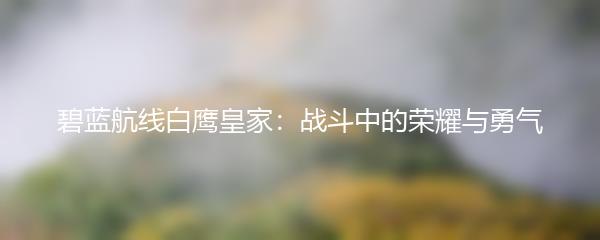 碧蓝航线白鹰皇家：战斗中的荣耀与勇气