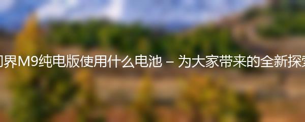 问界M9纯电版使用什么电池 – 为大家带来的全新探索