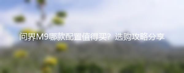 问界M9哪款配置值得买？选购攻略分享