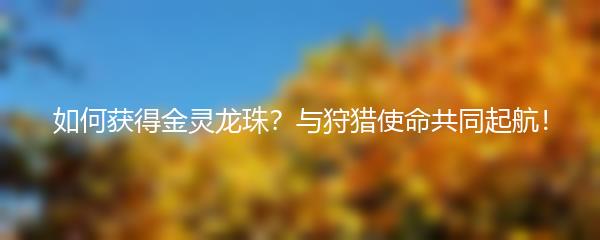 如何获得金灵龙珠？与狩猎使命共同起航！