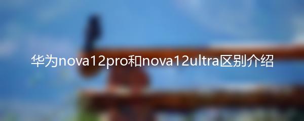 华为nova12pro和nova12ultra区别介绍