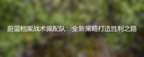 蔚蓝档案战术佩配队：全新策略打造胜利之路