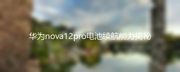 华为nova12pro电池续航能力揭秘