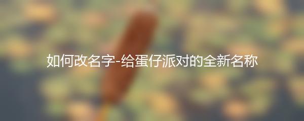 如何改名字-给蛋仔派对的全新名称