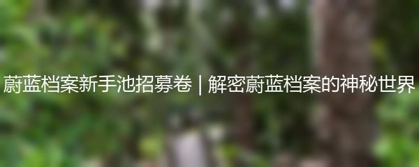 蔚蓝档案新手池招募卷 | 解密蔚蓝档案的神秘世界