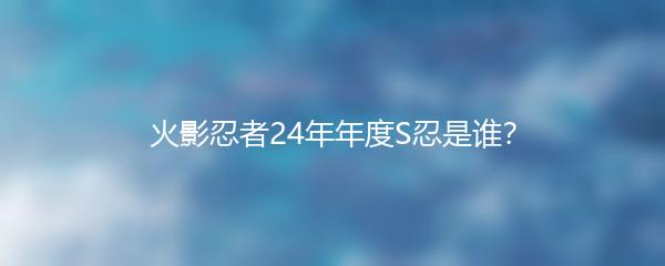 火影忍者24年年度S忍是谁？