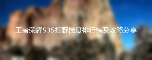 王者荣耀S35打野梯度排行榜及攻略分享