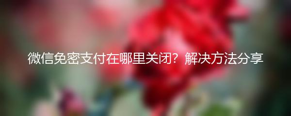 微信免密支付在哪里关闭？解决方法分享