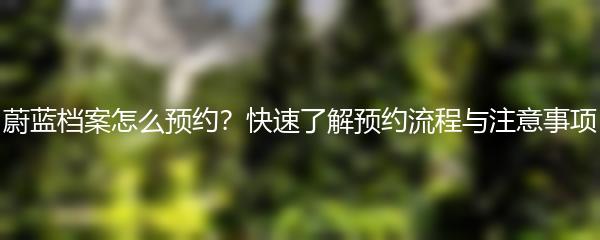 蔚蓝档案怎么预约？快速了解预约流程与注意事项