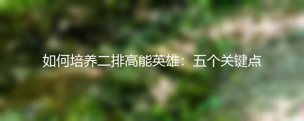 如何培养二排高能英雄：五个关键点