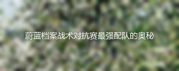 蔚蓝档案战术对抗赛最强配队的奥秘