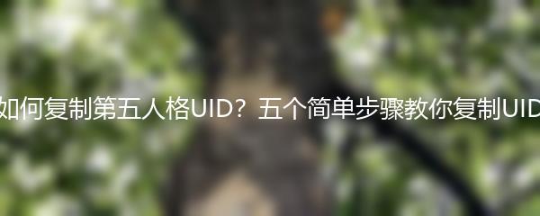 如何复制第五人格UID？五个简单步骤教你复制UID