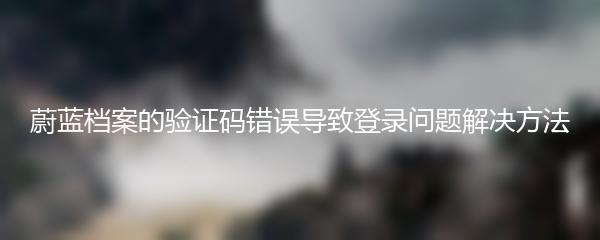 蔚蓝档案的验证码错误导致登录问题解决方法