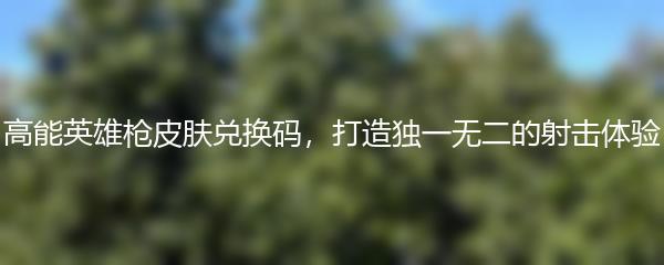 高能英雄枪皮肤兑换码，打造独一无二的射击体验